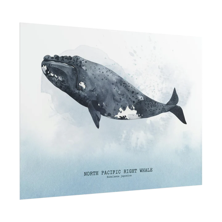 Pacific Ocean