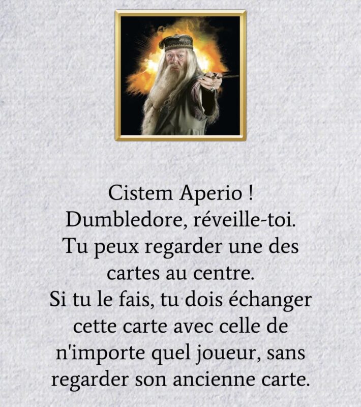 Loup-Garou Harry Potter