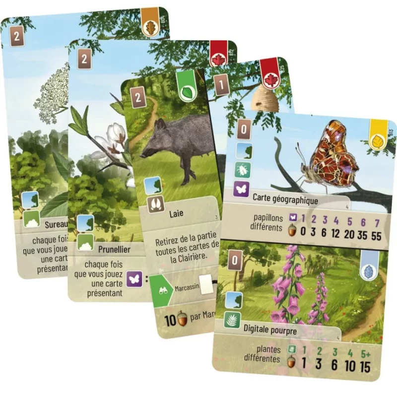 Forêt Mixte