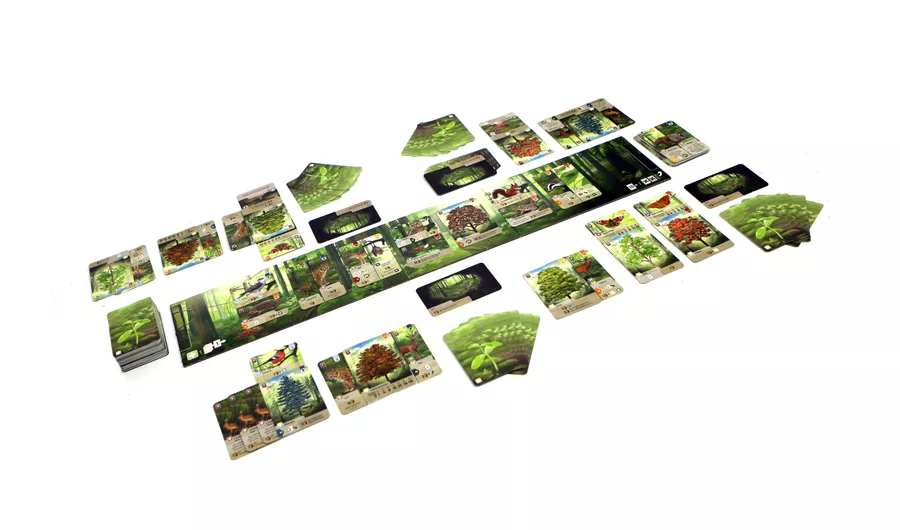 Forêt Mixte