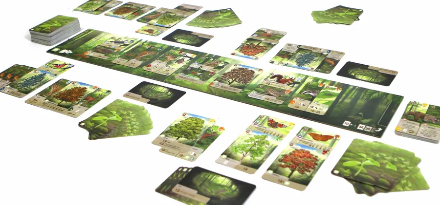 Forêt Mixte