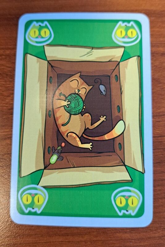 Ton chat Schrödinger mort ou vif