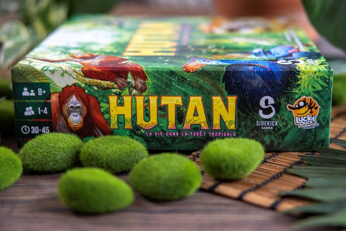 Hutan
