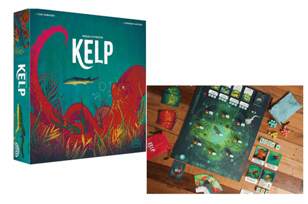 Kelp