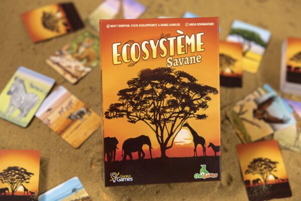 Écosystème - Savane