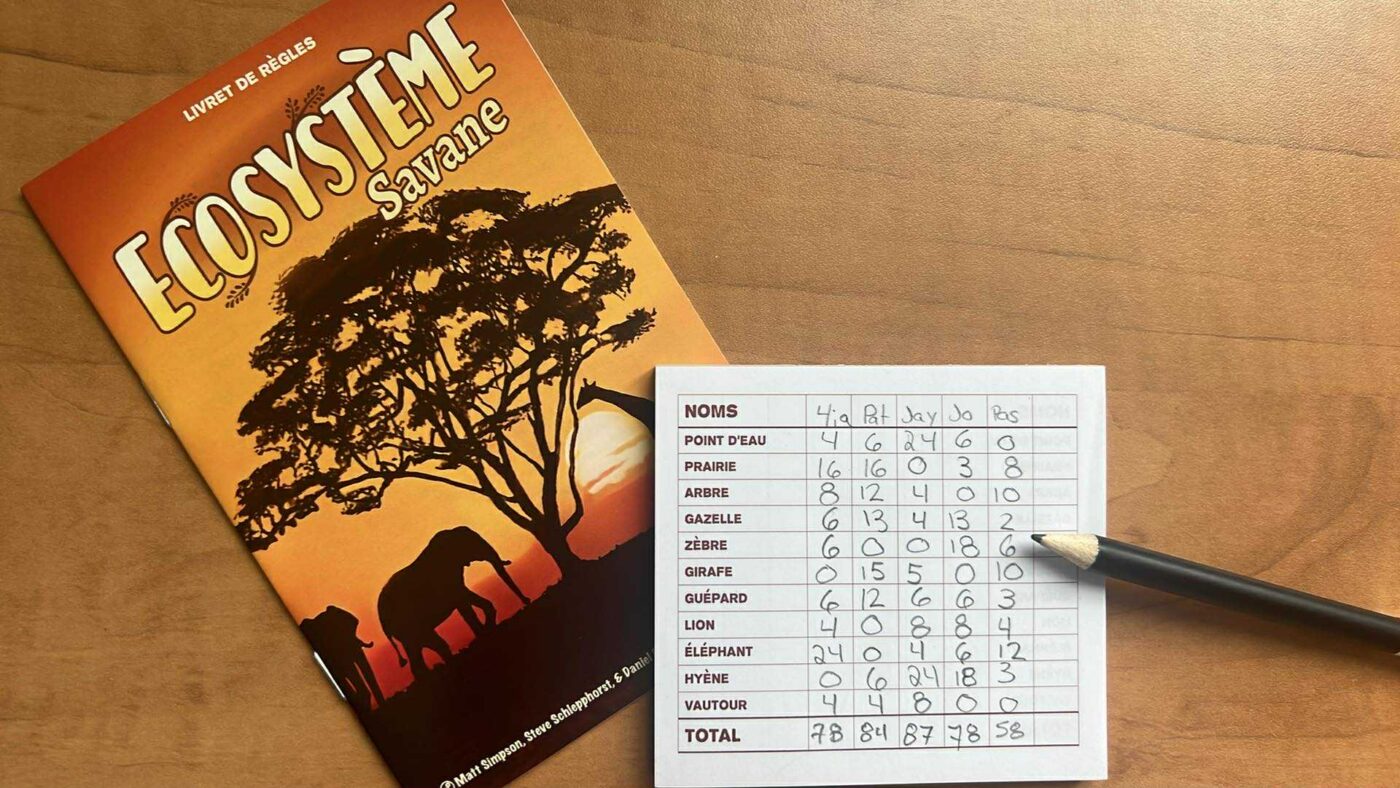 Écosystème - Savane