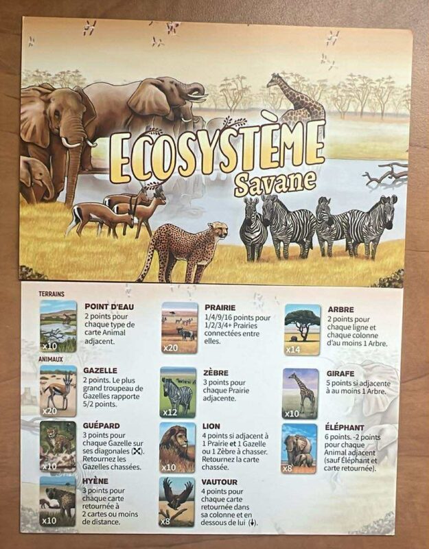 Écosystème - Savane