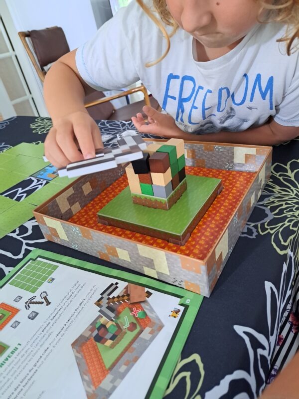 Minecraft Builders and Biomes Junior