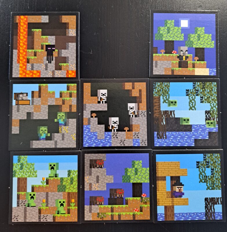 Minecraft Builders and Biomes Junior