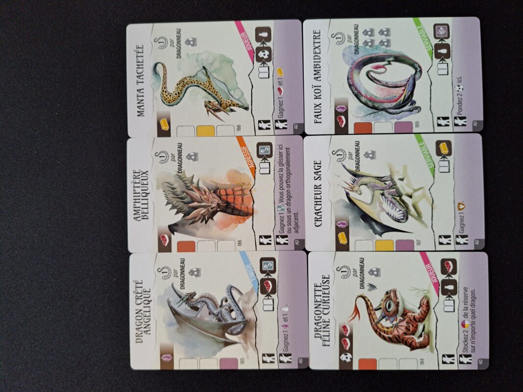Wyrmspan: L'académie des Dragons