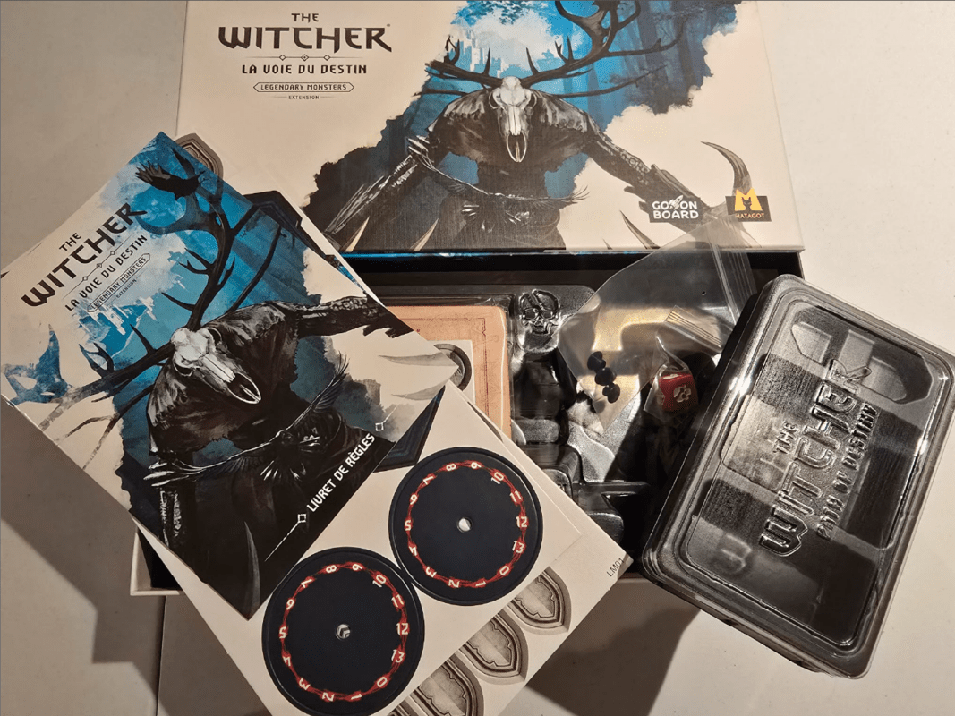The Witcher: la voie du destin