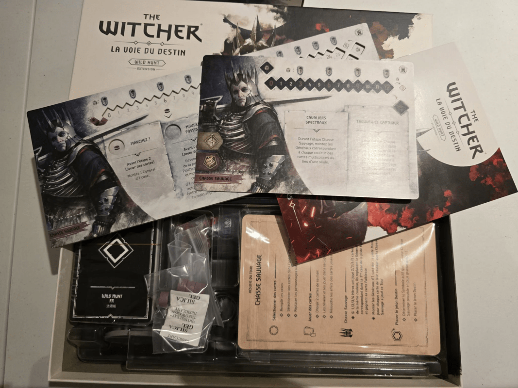 The Witcher: la voie du destin