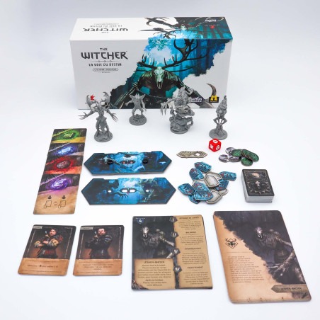 The Witcher: la voie du destin
