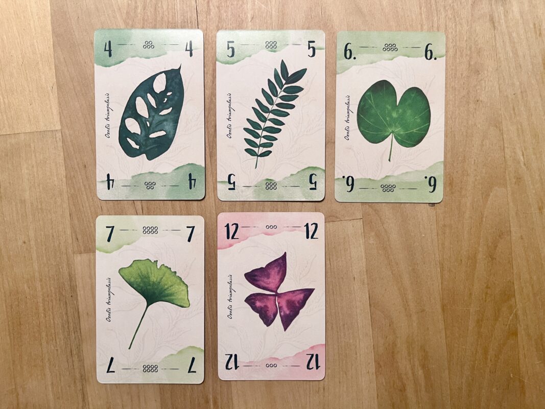 13 feuilles