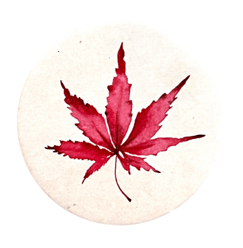 13 feuilles
